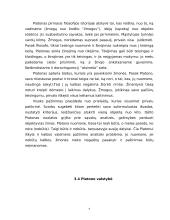 Objektyviojo idealizmo pradininkas -  Platonas 8 puslapis