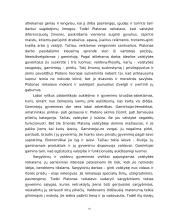 Objektyviojo idealizmo pradininkas -  Platonas 10 puslapis