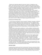 Požiūris į mirtį ir mirštančiuosius 2 puslapis