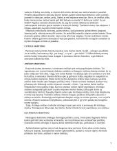 Požiūris į mirtį ir mirštančiuosius 3 puslapis