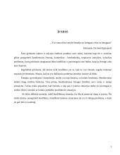 Problema-konfliktas 2 puslapis