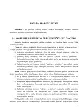 Problema-konfliktas 3 puslapis