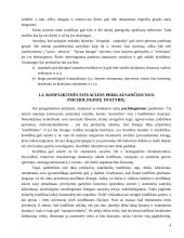 Problema-konfliktas 4 puslapis