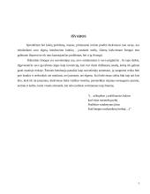 Problema-konfliktas 7 puslapis