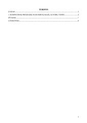 Programinės įrangos ir duomenų teisinė apsauga 2 puslapis