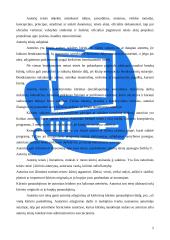 Programinės įrangos ir duomenų teisinė apsauga 5 puslapis