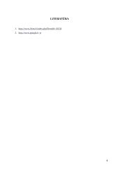 Programinės įrangos ir duomenų teisinė apsauga 8 puslapis