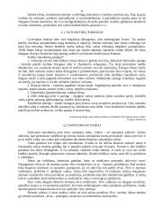 Santuoka. Pasiruošimas santuokai 5 puslapis