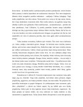 Studentės savianalizė 2 puslapis