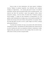 Studentės savianalizė 4 puslapis