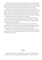 Savo vertės tyrimas 7 puslapis