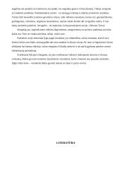 Savo vertės tyrimas 8 puslapis