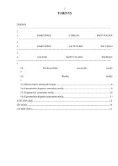 Savo asmenybės veiklos motyvacinė analizė 2 puslapis