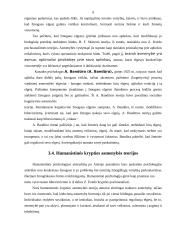 Savo asmenybės veiklos motyvacinė analizė 10 puslapis