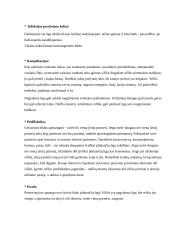 Sifilis - liga serganti nėščioji 4 puslapis