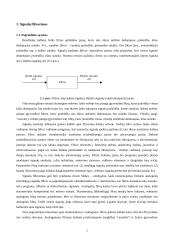 Signalų filtravimas 2 puslapis