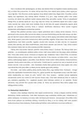 Signalų filtravimas 11 puslapis