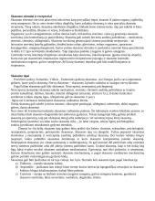 Skausmas: skausmo apibrėžimo problema, skausmo teorijos, stimulai ir receptoriai 3 puslapis