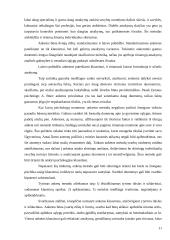 Socialinės psichologijos tyrimų specifika 10 puslapis