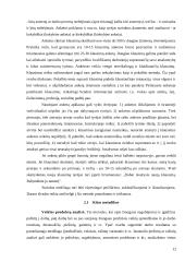 Socialinės psichologijos tyrimų specifika 11 puslapis