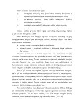 Stresinė situacija 3 puslapis