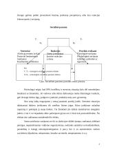 Stresas kasdienybėje 9 puslapis