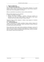 Struktūrinės analizės apžvalga 11 puslapis