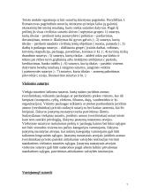 Sutarčių rūšys civilinėje teisėje 7 puslapis