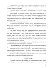 Švedijos baroko istorija 3 puslapis