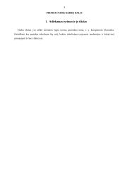 Technikos lygio tyrimas: kompiuterio klaviatūra 2 puslapis