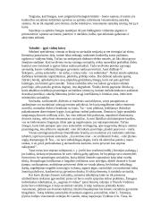 Teigiamas savęs vertinimas - kelias į sėkmingą gyvenimą 6 puslapis