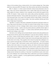 Suėmimo skyrimas, kardomosios priemonės 9 puslapis