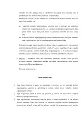 Teisės normos analizė - valstybės skolinis įsipareigojimas 2 puslapis