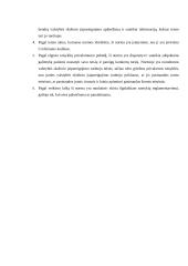 Teisės normos analizė - valstybės skolinis įsipareigojimas 3 puslapis