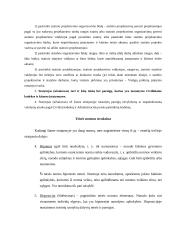 Teisės normos analizė - valstybės skolinis įsipareigojimas 5 puslapis