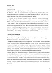 Teisės normos, principai bei funkcijos 4 puslapis