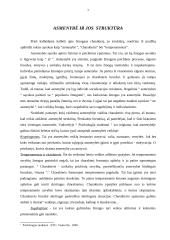 Temperamentas ir charakteris. Stresas 3 puslapis