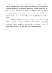 Temperamentas ir charakteris. Stresas 9 puslapis