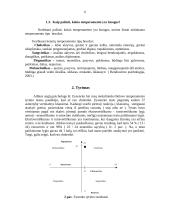 Tiriamojo objekto temperamento tipo nustatymas 6 puslapis