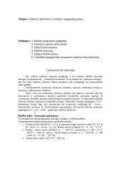 Topografinės nuotraukos vykdymas. Topografinės nuotraukos planas 3 puslapis