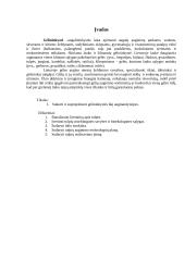 Tulpių auginimo technologijų planas 2 puslapis