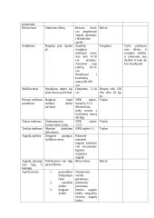 Tulpių auginimo technologijų planas 11 puslapis