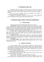 Tulpių auginimo technologijų planas 3 puslapis