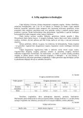 Tulpių auginimo technologijų planas 9 puslapis