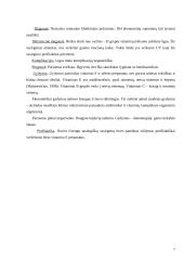 Veršelių baltoji raumenų distrofija (Myopathia) 6 puslapis