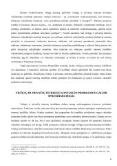 Viešųjų ir privačių interesų sankirta Lietuvos politinėse institucijose 6 puslapis