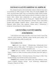 Vilniaus miesto gatvėvardžiai, atspindintys valdovų vardus 4 puslapis