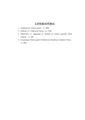 Vilniaus miesto gatvėvardžiai, atspindintys valdovų vardus 7 puslapis