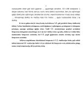 Vindikacinis ieškinys 5 puslapis