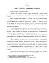 Vindikacinis ieškinys 6 puslapis